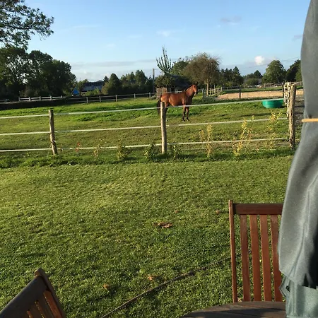 De L'epinay Cerise Saint-Saëns