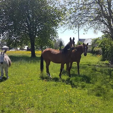 De L'epinay Cerise Σπίτι διακοπών Saint-Saëns