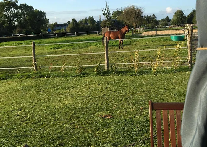 De L'epinay Cerise Saint-Saens