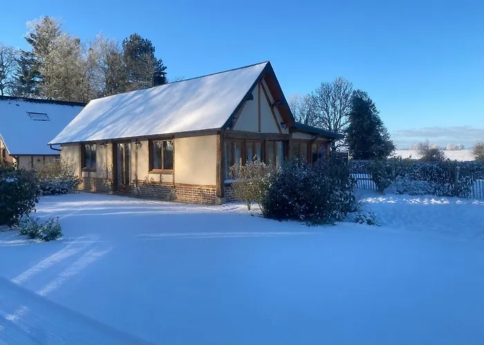 De L'epinay Cerise * Saint-Saens